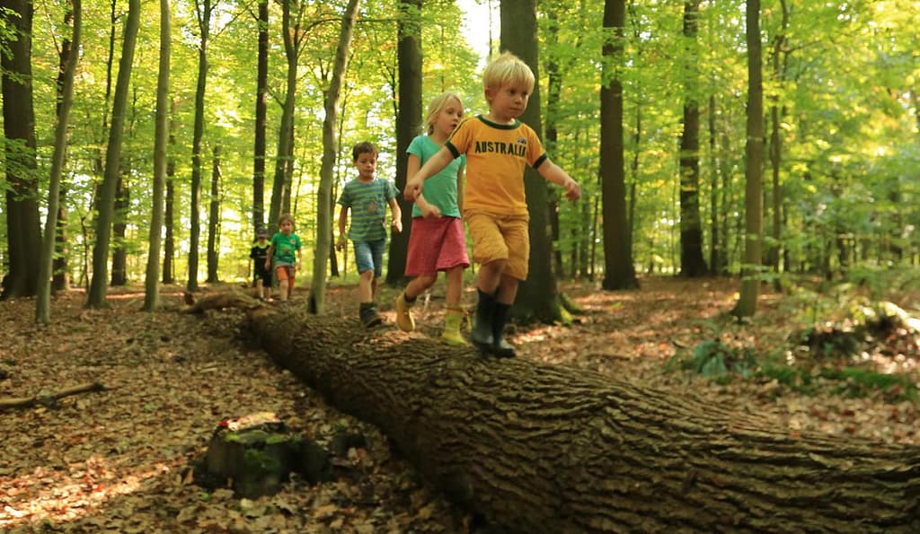 Kinderen spelen in het Buggenhoutbos